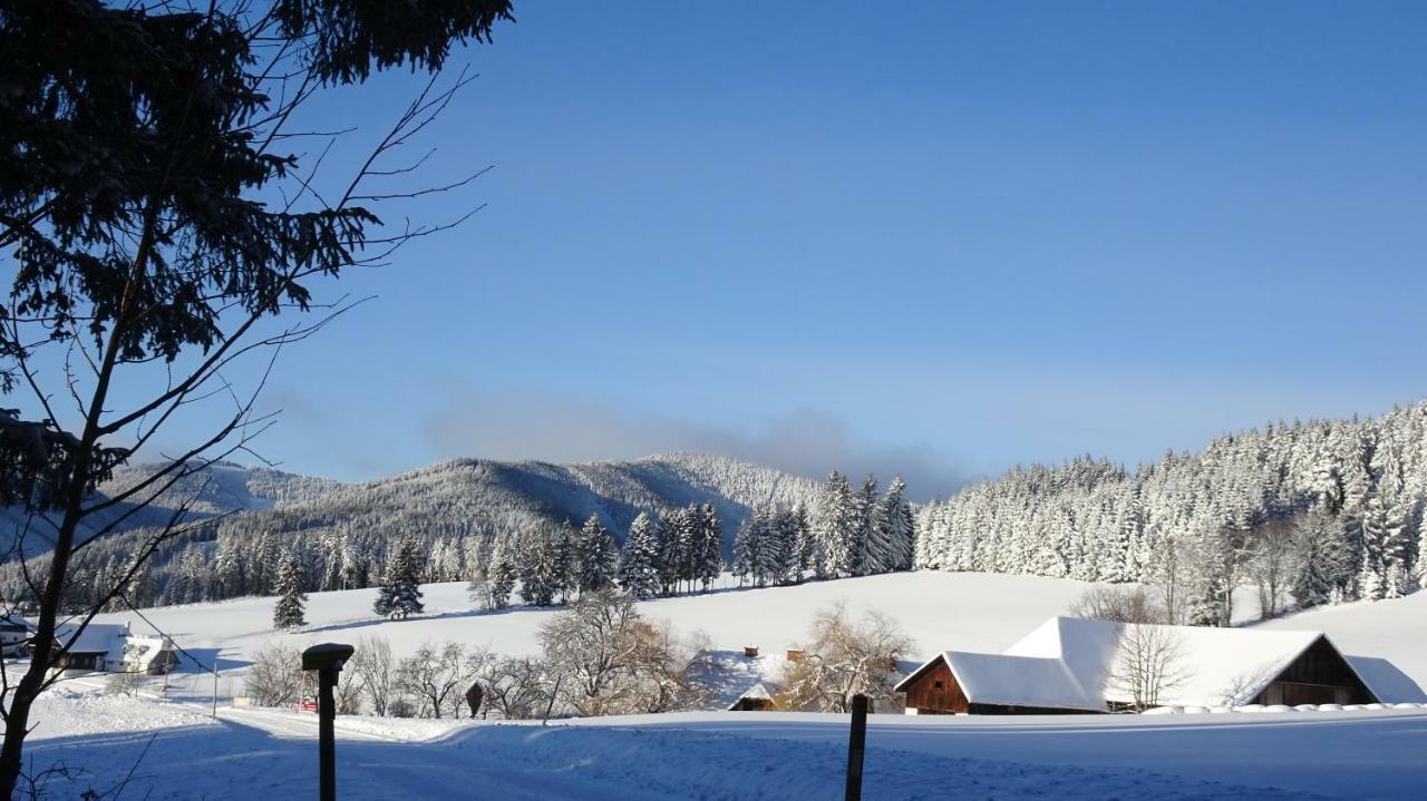 Bauernhof Hoenigshof Fischbach Extérieur photo
