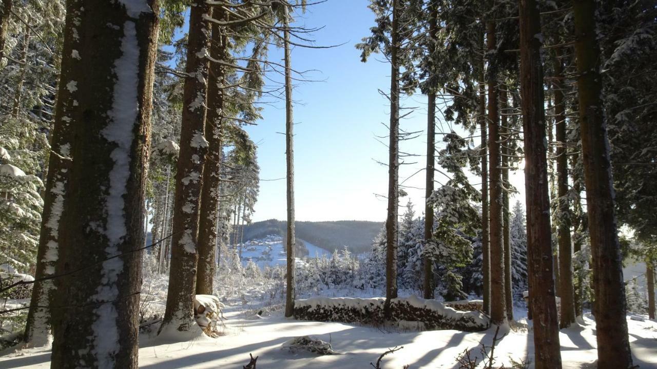 Bauernhof Hoenigshof Fischbach Extérieur photo